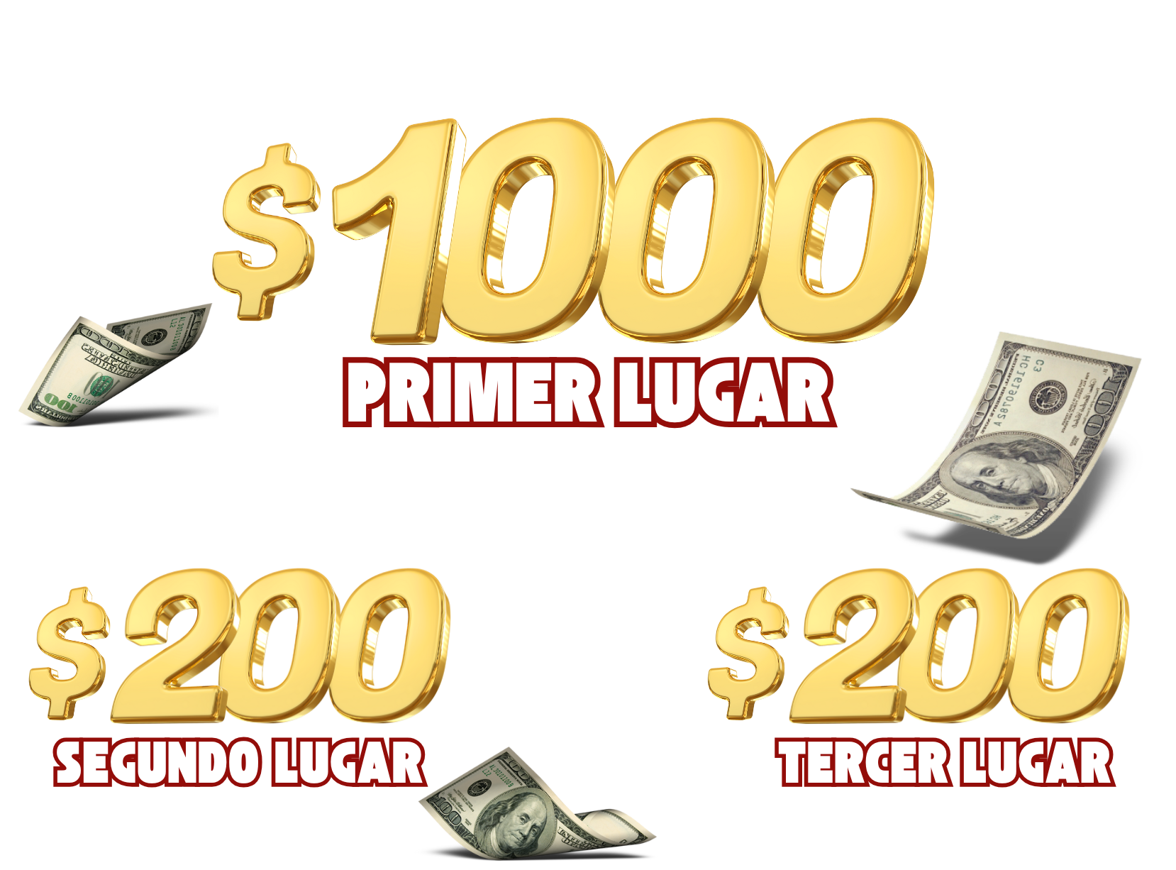 Primer Premio